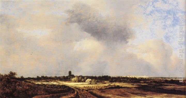 View of Naarden painting - Jacob van Ruisdael View of Naarden art painting